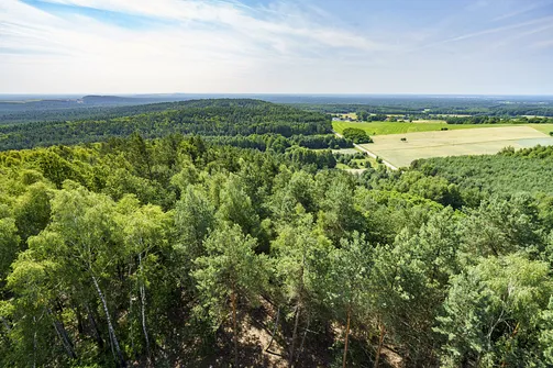 Krzemycza Góra. Góra Krzemycza - widok w kierunku południowym