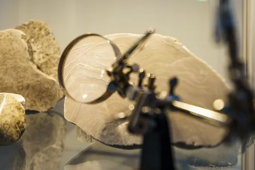 Interaktywne muzeum Giganty Mocy w Bełchatowie