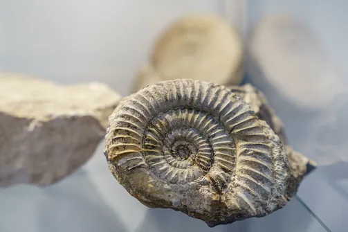 Interaktywne muzeum Giganty Mocy w Bełchatowie