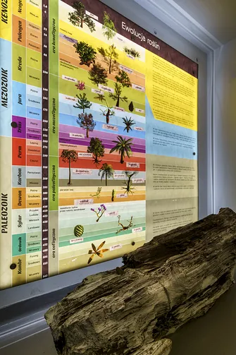 Interaktywne muzeum Giganty Mocy w Bełchatowie