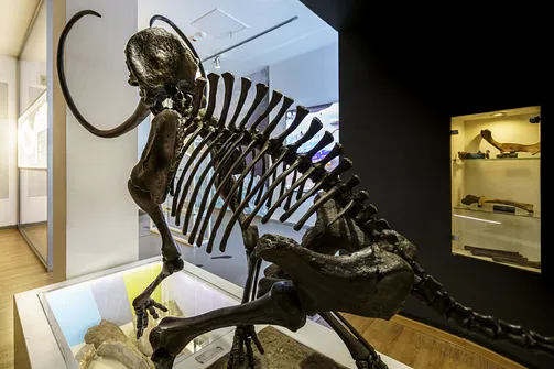 Interaktywne muzeum Giganty Mocy w Bełchatowie