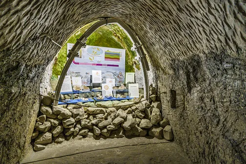 Chełmskie Podziemia Kredowe w Chełmie