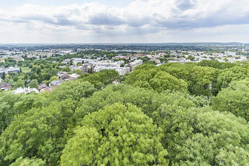 Sanktuarium Matki Bożej Chełmskiej w Chełmie