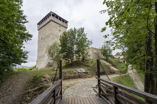 Ruiny zamku w Muszynie