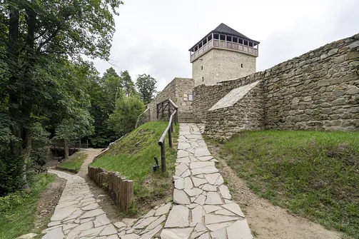 Ruiny zamku w Muszynie