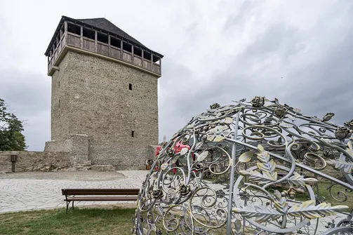 Ruiny zamku w Muszynie