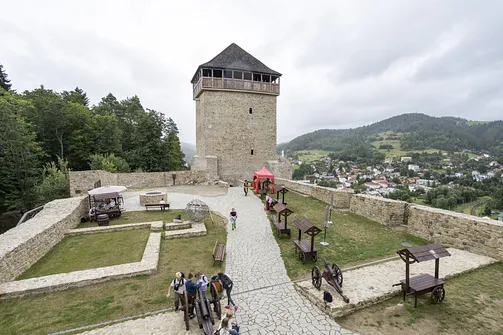 Ruiny zamku w Muszynie