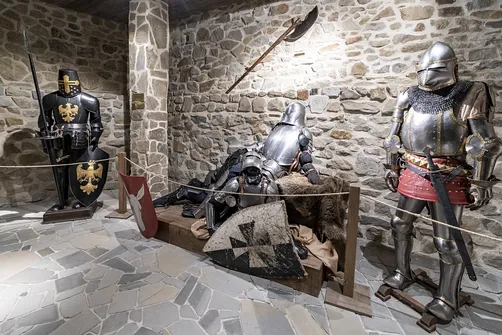 Ruiny zamku w Muszynie