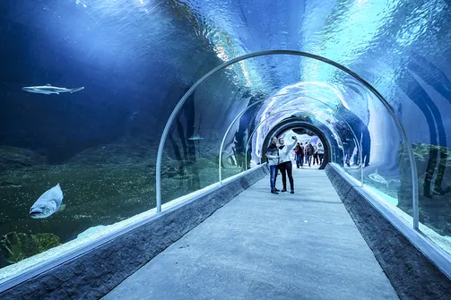 ZOO i Orientarium w Łodzi - wyjątkowa atrakcja turystyczna