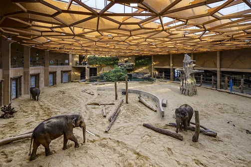 ZOO i Orientarium w Łodzi - wyjątkowa atrakcja turystyczna