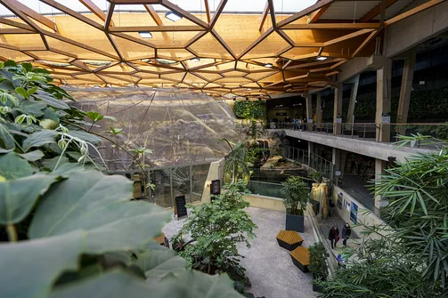 ZOO i Orientarium w Łodzi - wyjątkowa atrakcja turystyczna