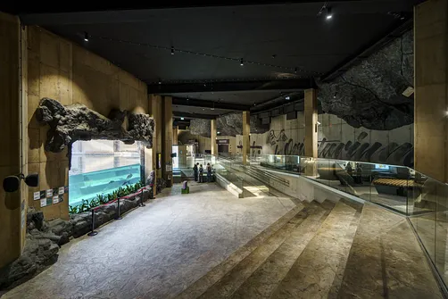 ZOO i Orientarium w Łodzi - wyjątkowa atrakcja turystyczna