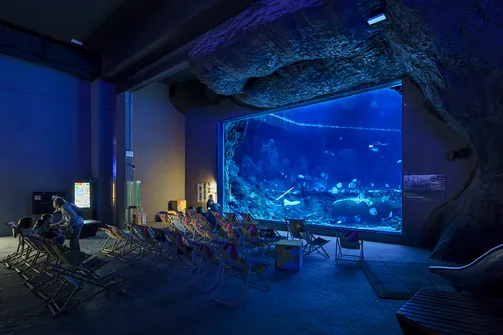 ZOO i Orientarium w Łodzi - wyjątkowa atrakcja turystyczna