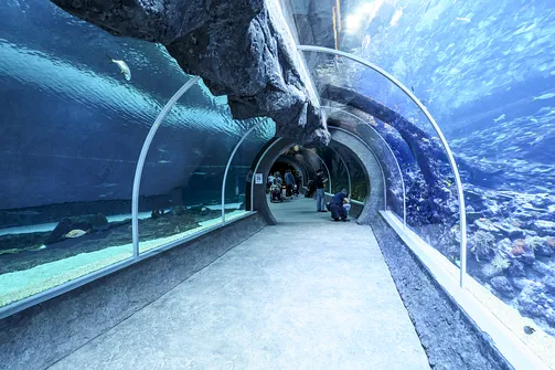 ZOO i Orientarium w Łodzi - wyjątkowa atrakcja turystyczna
