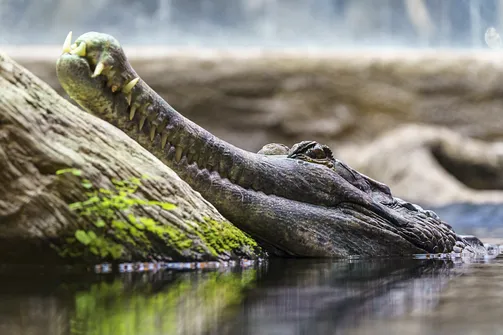ZOO i Orientarium w Łodzi - wyjątkowa atrakcja turystyczna