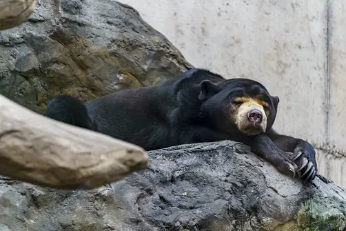 ZOO i Orientarium w Łodzi - wyjątkowa atrakcja turystyczna