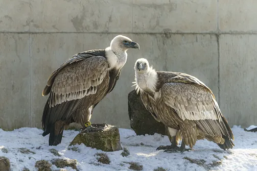 ZOO i Orientarium w Łodzi - wyjątkowa atrakcja turystyczna