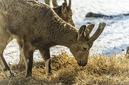 ZOO i Orientarium w Łodzi - wyjątkowa atrakcja turystyczna