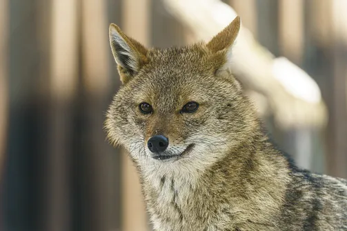ZOO i Orientarium w Łodzi - wyjątkowa atrakcja turystyczna
