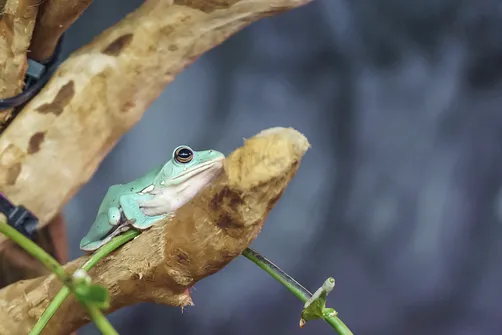 ZOO i Orientarium w Łodzi - wyjątkowa atrakcja turystyczna