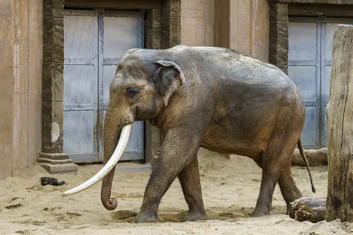 ZOO i Orientarium w Łodzi - wyjątkowa atrakcja turystyczna