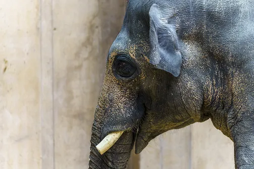 ZOO i Orientarium w Łodzi - wyjątkowa atrakcja turystyczna