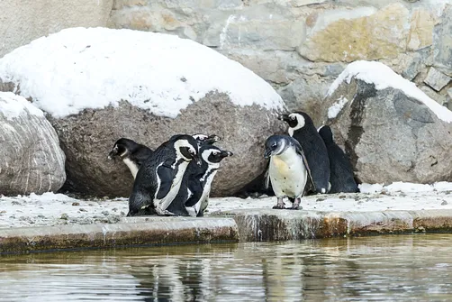 ZOO i Orientarium w Łodzi - wyjątkowa atrakcja turystyczna