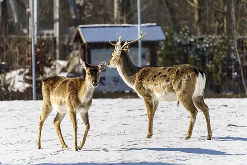 ZOO i Orientarium w Łodzi - wyjątkowa atrakcja turystyczna