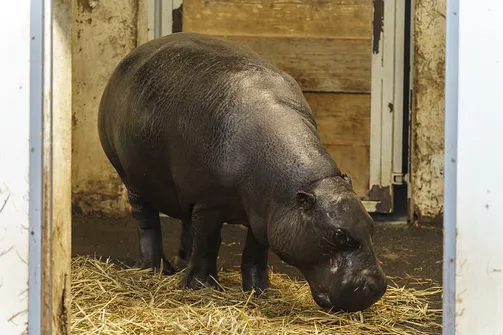 ZOO i Orientarium w Łodzi - wyjątkowa atrakcja turystyczna