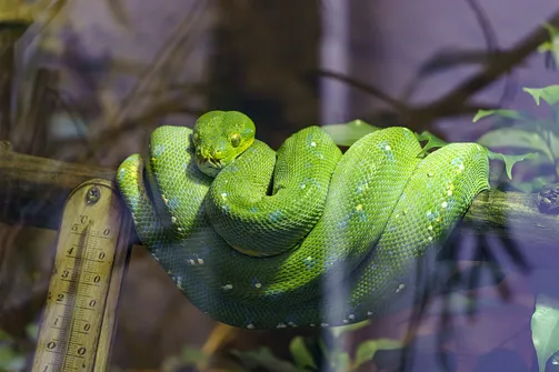 ZOO i Orientarium w Łodzi - wyjątkowa atrakcja turystyczna