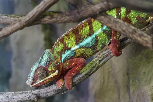 ZOO i Orientarium w Łodzi - wyjątkowa atrakcja turystyczna