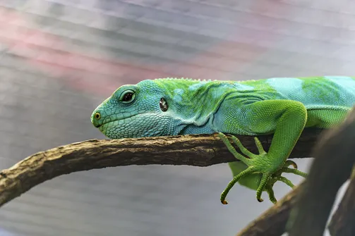 ZOO i Orientarium w Łodzi - wyjątkowa atrakcja turystyczna
