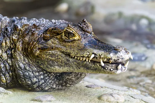 ZOO i Orientarium w Łodzi - wyjątkowa atrakcja turystyczna