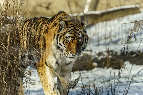 ZOO i Orientarium w Łodzi - wyjątkowa atrakcja turystyczna