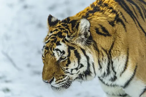 ZOO i Orientarium w Łodzi - wyjątkowa atrakcja turystyczna