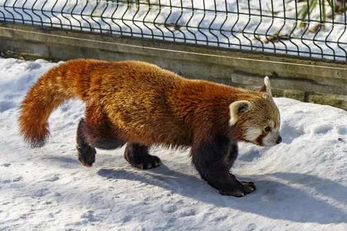 ZOO i Orientarium w Łodzi - wyjątkowa atrakcja turystyczna