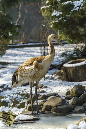 ZOO i Orientarium w Łodzi - wyjątkowa atrakcja turystyczna