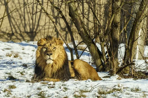ZOO i Orientarium w Łodzi - wyjątkowa atrakcja turystyczna