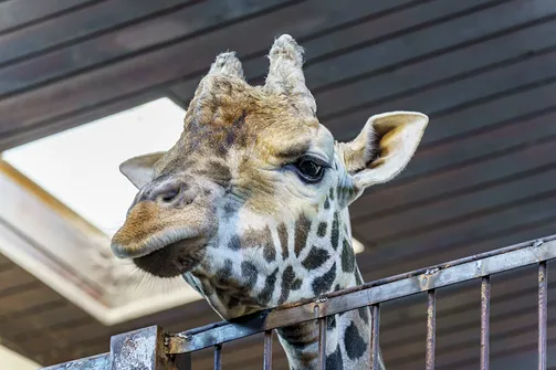 ZOO i Orientarium w Łodzi - wyjątkowa atrakcja turystyczna