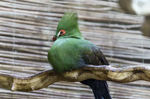 ZOO i Orientarium w Łodzi - wyjątkowa atrakcja turystyczna