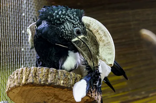 ZOO i Orientarium w Łodzi - wyjątkowa atrakcja turystyczna