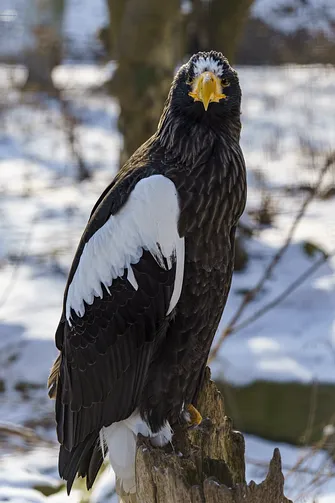ZOO i Orientarium w Łodzi - wyjątkowa atrakcja turystyczna