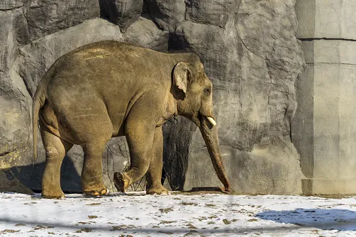 ZOO i Orientarium w Łodzi - wyjątkowa atrakcja turystyczna