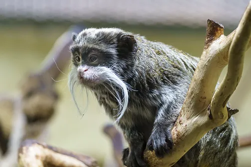 ZOO i Orientarium w Łodzi - wyjątkowa atrakcja turystyczna