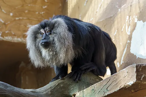 ZOO i Orientarium w Łodzi - wyjątkowa atrakcja turystyczna