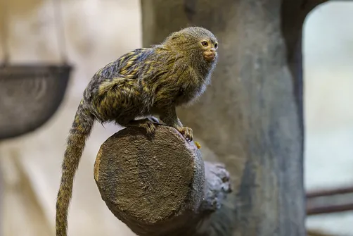 ZOO i Orientarium w Łodzi - wyjątkowa atrakcja turystyczna