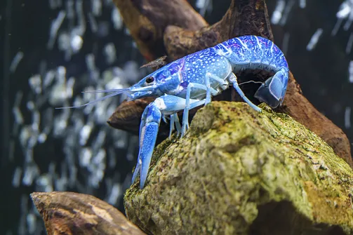 ZOO i Orientarium w Łodzi - wyjątkowa atrakcja turystyczna