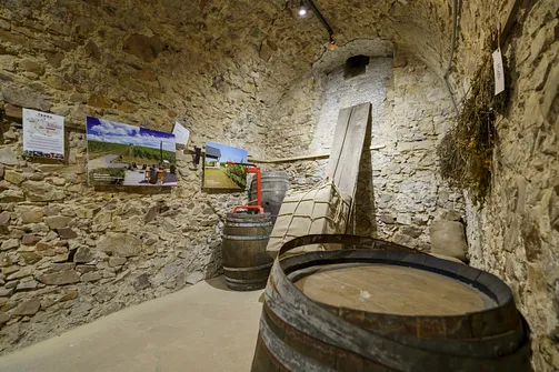 Podziemia Opatowskie - trasa turystyczna ukryta pod miastem