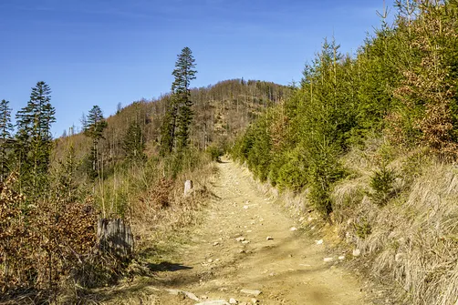 Wielka Racza - trasa z Rycerki Górnej przez Przełęcz Przegibek
