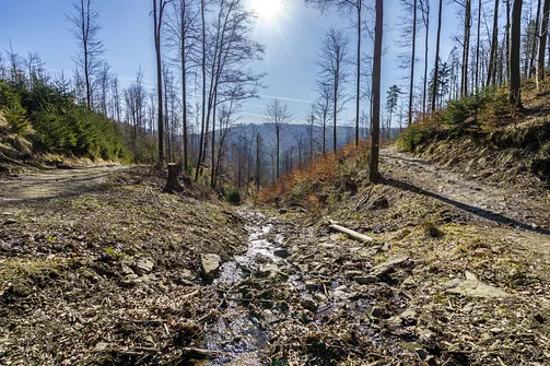 Wielka Racza - trasa z Rycerki Górnej przez Przełęcz Przegibek